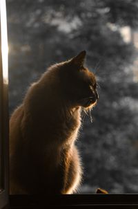 TEMA 1 De espaldas a la realidad