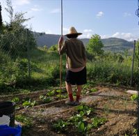 TEMA 2 PASTOREANDO LECHUGAS_1