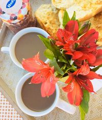 TEMA 3 CAFE CON FLORES